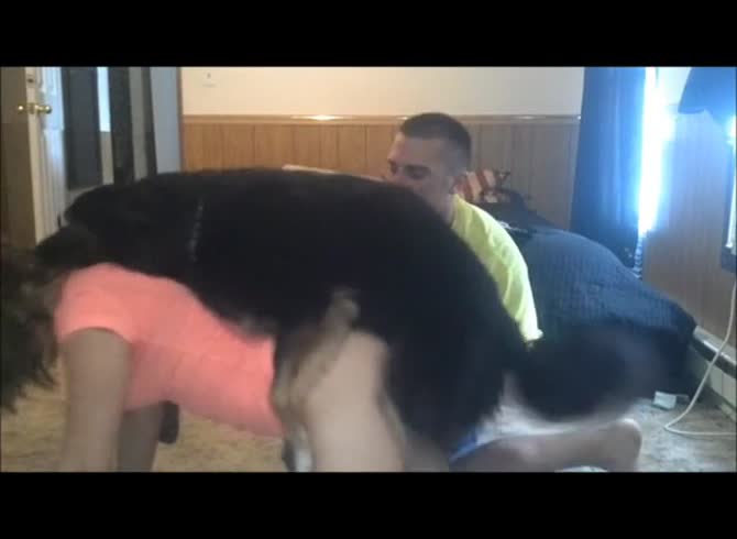 Video :Beastiality threesome of couple having fun with dog dick